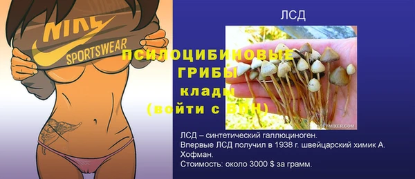 гидра Балахна