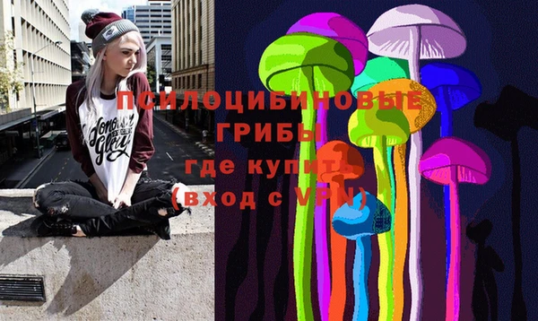 гидра Балахна