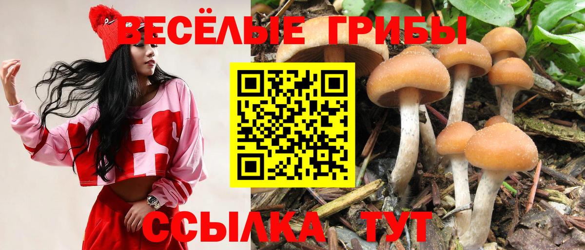 Псилоцибиновые грибы Magic Shrooms  Вход с VPN  Корсаков 